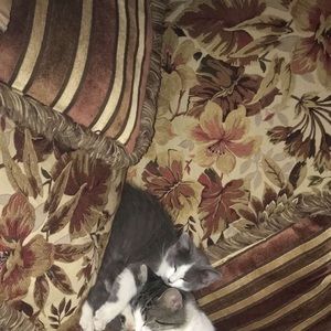 Meet your Posher, Jacey